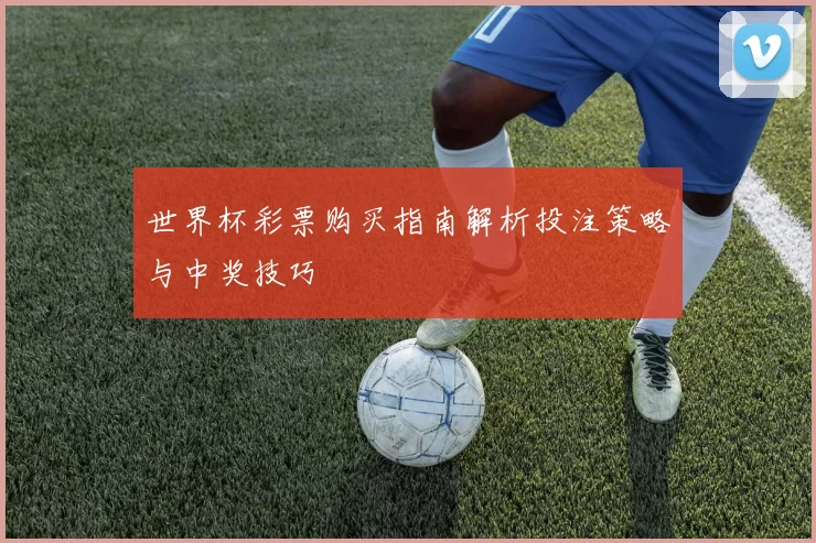 世界杯彩票购买指南解析投注策略与中奖技巧