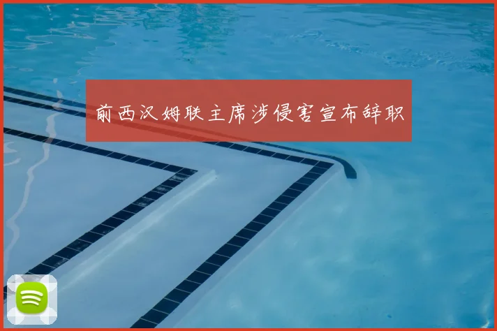 前西汉姆联主席涉侵害宣布辞职