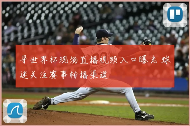 寻世界杯现场直播视频入口曝光 球迷关注赛事转播渠道